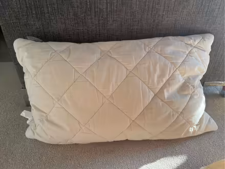 Photo of free Woolroom pillow (Moorfields) #2