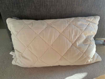Photo of free Woolroom pillow (Moorfields) #2