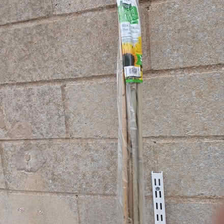 Photo of free 10 long bamboo canes (Bradford on Avon BA15) #1