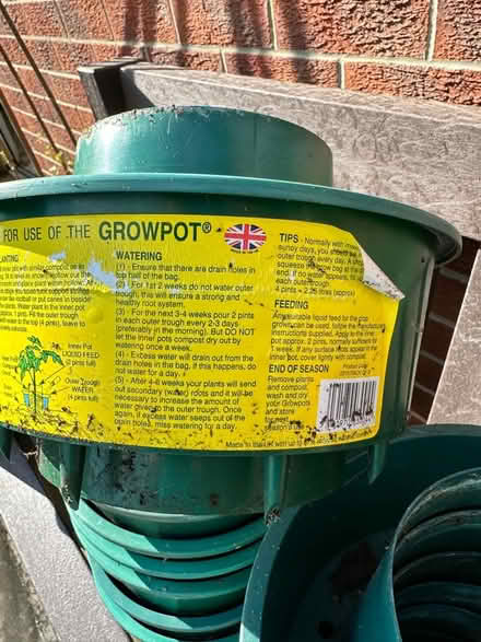 Photo of free Tomato Plant Grow Pots (Duffield DE56) #3