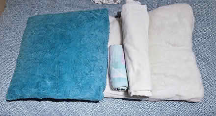 Photo of free Towels/bedding for animal shelter (Northolt UB5) #2