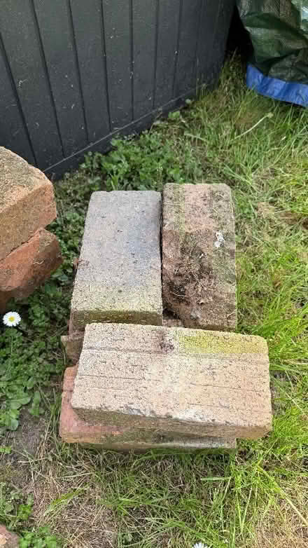 Photo of free Bricks (Malvern Link WR14) #3