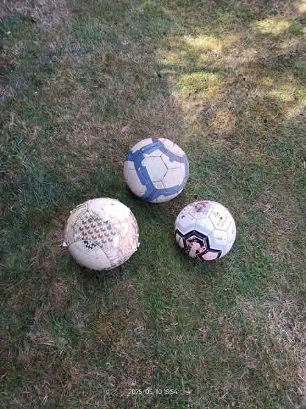 Photo of free Footballs for dogs! (Fords Farm RG31) #1
