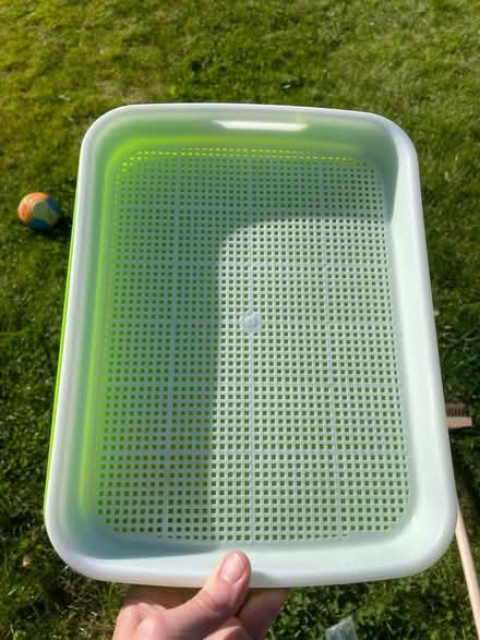 Photo of free Sprouting tray (AB51) #2