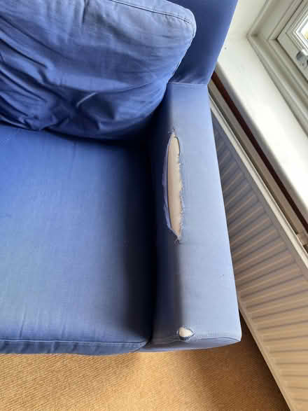 Photo of free Blue armchair (Roundhay LS8) #3