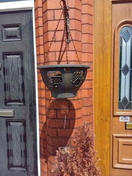 Photo of free 4 Large Plant Hanging Baskets (Gidlow WN6) #1