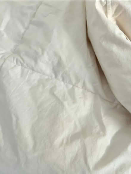 Photo of free Duck Feather double duvet (SW11) #2