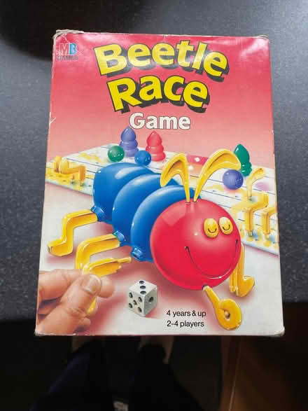 Photo of free Beetle Race game (Nunnery Wood WR5) #1
