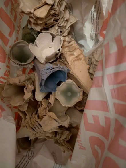 Photo of free Egg box cups for crafts (Wandsworth SW15) #2