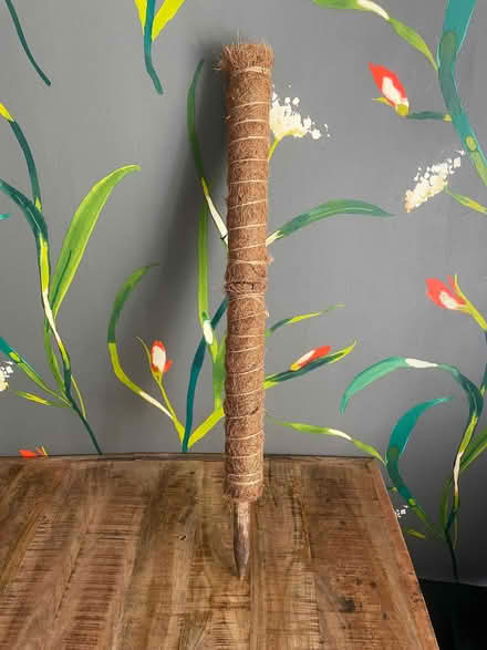 Photo of free Plant supports (AB51) #2