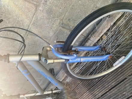 Photo of free Girl bikes (Rathfarnham) #2