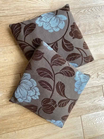 Photo of free 7 scatter cushions (Charfield GL12) #2