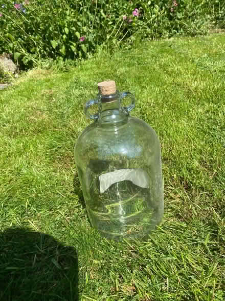 Photo of free Wine brewing Jar (Pentre Halkyn CH8) #1