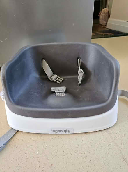 Photo of free Booster seat (Redford EH13) #1