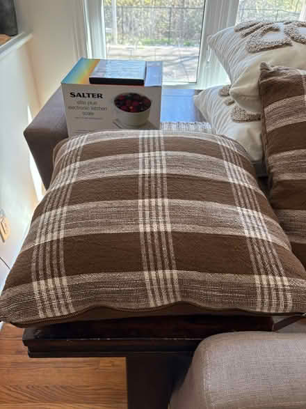 Photo of free 18 inch pillows (Kanata Lakes) #2