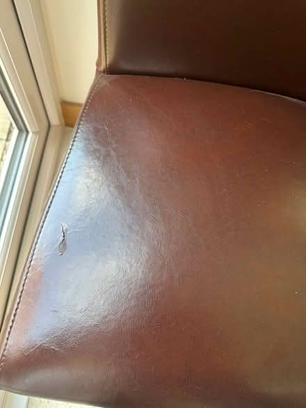 Photo of free 5 oak furniture dining chairs (Purton) #4