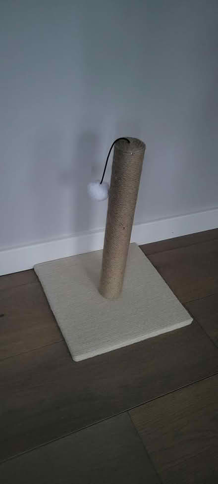 Photo of free Cat scratching post (Bowie) #1
