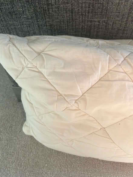 Photo of free Woolroom pillow (Moorfields) #3