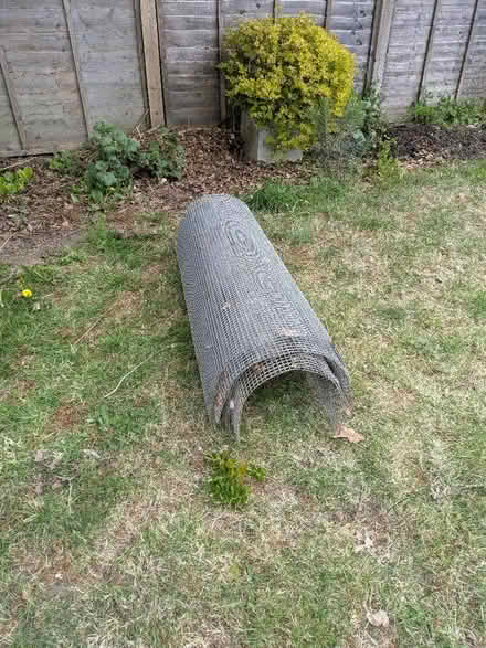 Photo of free Plant tunnels (Bures Hamlet CO8) #1