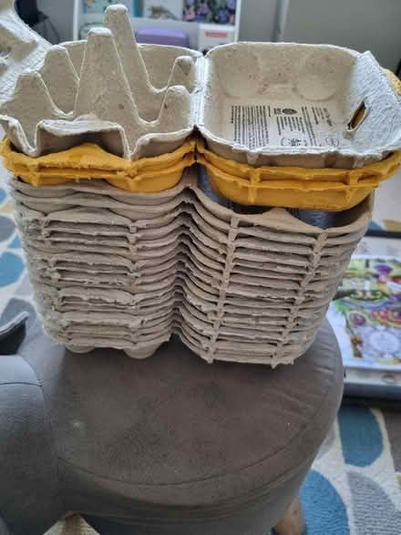 Photo of free Egg boxes (RH1 Redhill, Surrey) #1