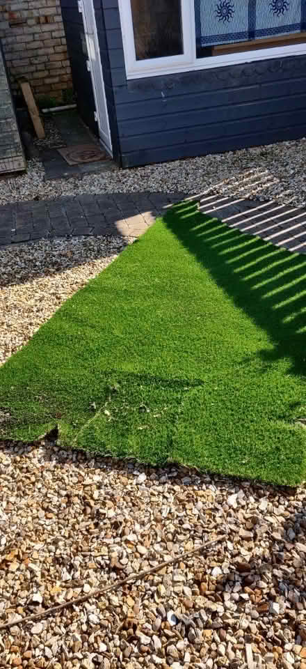 Photo of free Artificial grass (Stewarton, Kilmarnock) #1