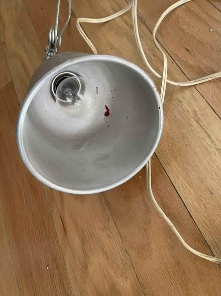 Photo of free light bulbs and light fixture (Bloor and Ossington) #3