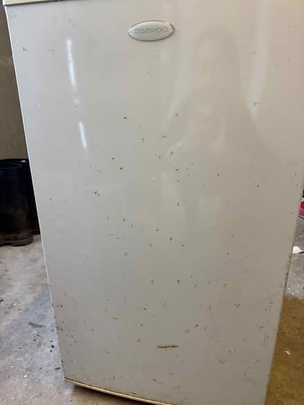 Photo of free Small fridge (Bromley) #2