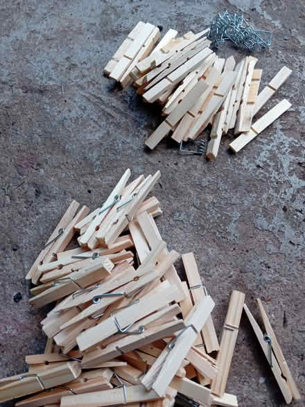 Photo of free Pegs x40 (+more) (Tavistock Avenue ST16) #1