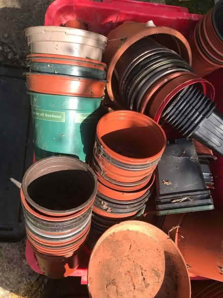 Photo of free Plastic plant pots (Kenilworth CV8) #1