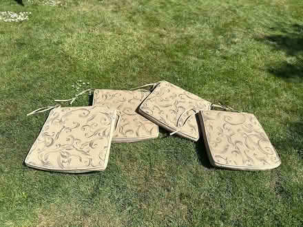 Photo of free Hartman garden seat cushion (Salvington bn13) #1