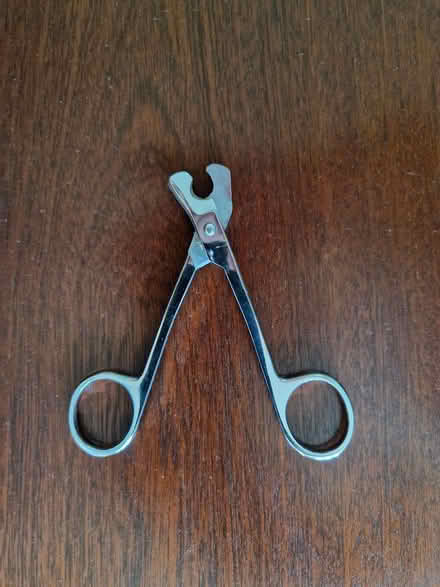 Photo of free Pet nail clippers (Arborfield Garrison RG2) #1
