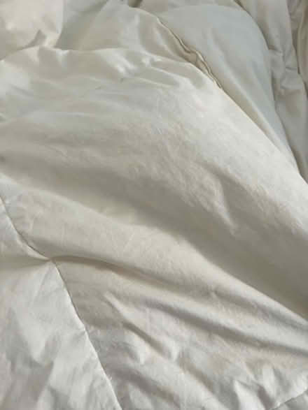 Photo of free Duck Feather double duvet (SW11) #1