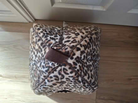 Photo of free Cat igloo (Murrow) #2