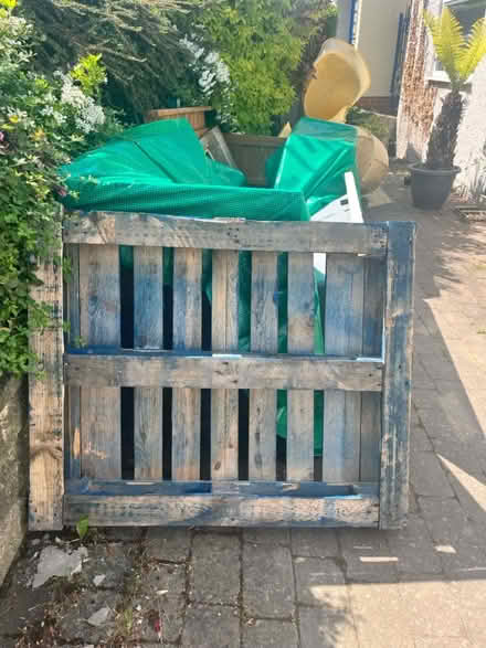 Photo of free Blue pallet (Totley - S17) #1