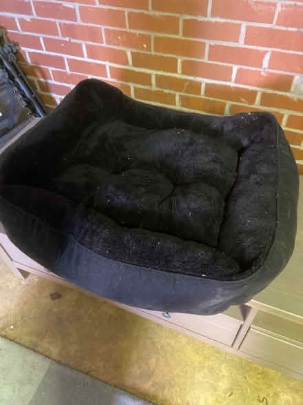 Photo of free Pet bed (Grange Park) #1