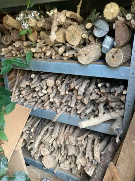 Photo of free Firewood (Farcet) #1