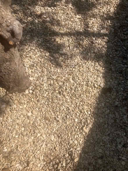 Photo of free Gravel (Tuffley GL1) #2