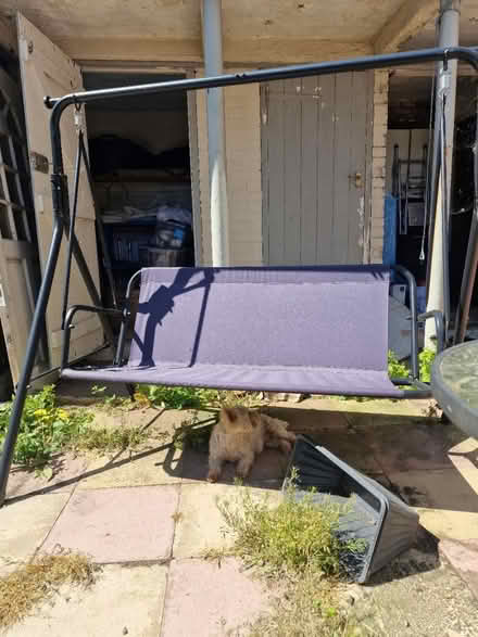 Photo of free 2/3 seater Garden swing (Luton LU2) #1