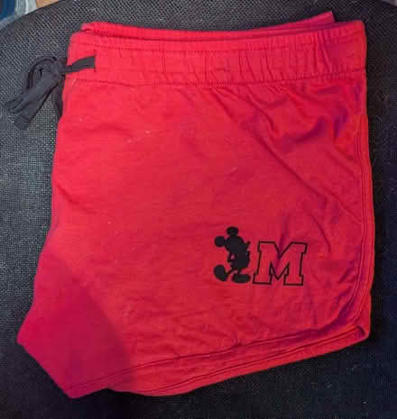 Photo of free Minnie Mouse Shorts size 16 (Clive Vale TN35) #1