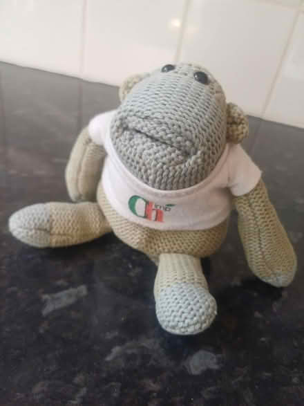 Photo of free PG tips monkey (Tooting SW17) #1