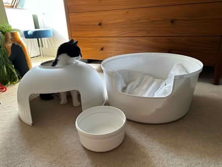 Photo of free Large Cat cave or litter tray (Penge SE20) #3