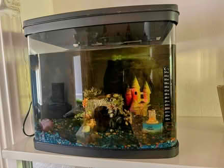 Photo of free Aquarium (E6 3SB) #2