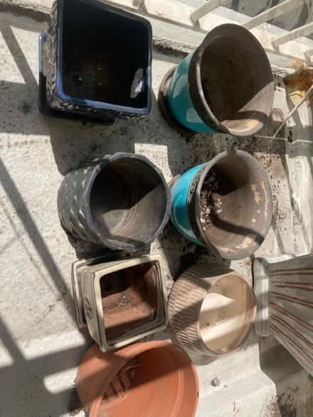 Photo of free Plant pots (Columbia Heights) #3