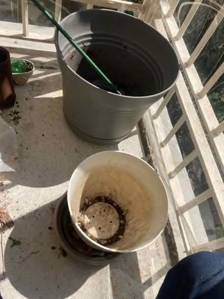 Photo of free Plant pots (Columbia Heights) #2