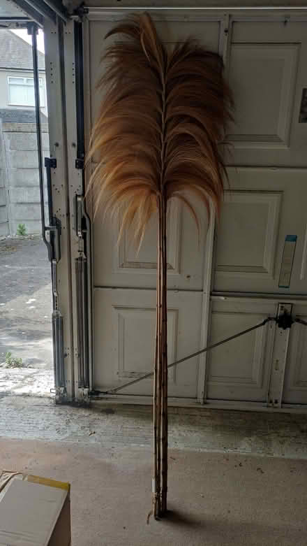 Photo of free Traditional African fans (Erith DA8) #1