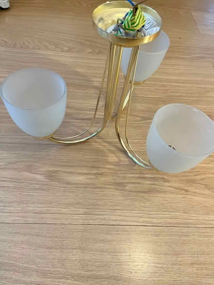 Photo of free ceiling light fitting - 3 bulbs (Craigmount EH12) #1