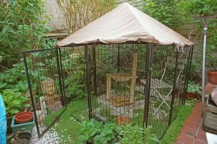 Photo of free Outdoor cat enclosure (N16) #2