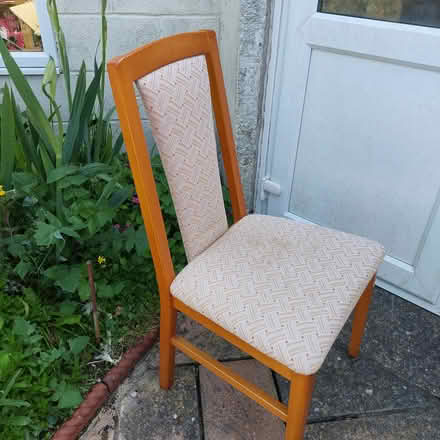 Photo of free 4 Dining room chairs (Berrow, Burnham On Sea) #2