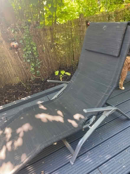 Photo of free Sun lounger (Garston WD25) #2