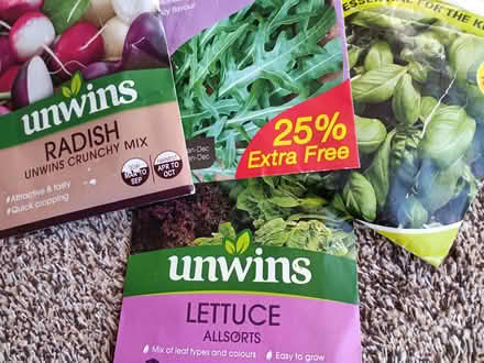 Photo of Vegetable seed packets, unopened (Chalvington BN27) #1